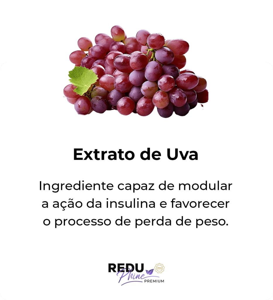 i-Extrato-de-uva.png